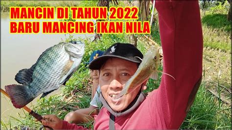 Mancing Di Tahun 2022 Baru Mancing Ikan Nila Youtube