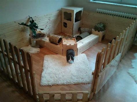 Great House Bunny Setup Meerschweinchen Kaninchengehege Indoor