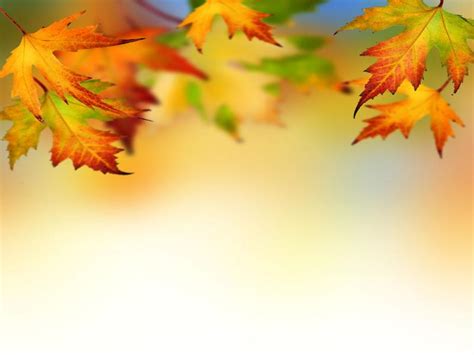 Yellow Autumn Leaves Walpaper Graphic Backgrounds For Powerpoint