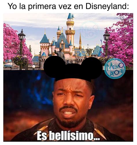 Pin De Breeze En Memes Disneyland