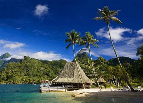 Tahiti Tropical Island Palm Trees Mountain Beach Forest French