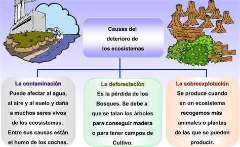 C Naturalesc Sociales 5º Los Ecosistemas