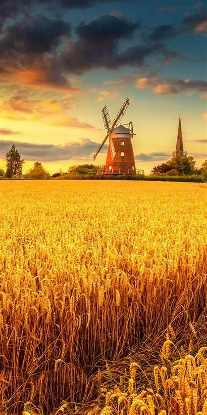 Windmill Field Wheat Sunset Resolution Published September