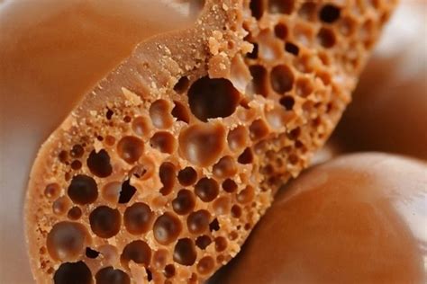 Trypophobia What Is It How To Know If I Have It And Treatment With Images