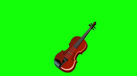 Playing Violin Isolated On Green Screen Stock Motion Graphics Sbv