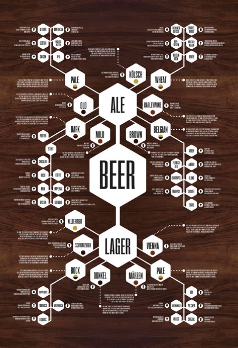 Beer Diagram Print Beer Infographic Beer Chart Craft Beer