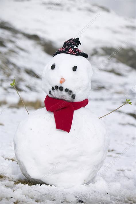 A Snowman On Wrynose Pass Uk Stock Image C0257722 Science Photo