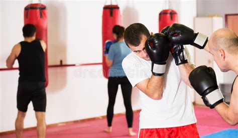 Two Athlete Men Boxing Stock Photo Image Of Combat 238241660