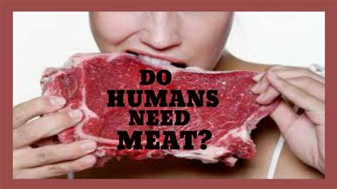 Do Humans Need Meat Totaltransformation Youtube