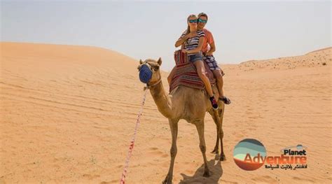 Camel Ride In Dubai Where To Ride A Camel In Dubai