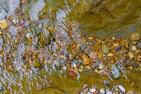 Colorful River Pebbles Under The Water Rocks In The Stream Stock Photo