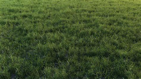 Grass Landscape 3d Model Turbosquid 1570623