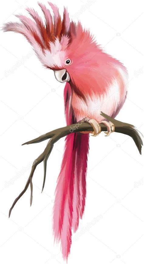 Pink Parrot Sitting On Branch Stock Vector Image By ©yuliaavgust 37555363