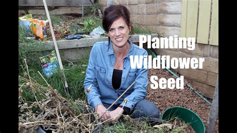 How To Plant Wildflower Seed For Early Spring Flowers