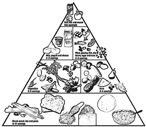 Piramide Alimenticia Para Imprimir Y Colorear Food Pyramid Food My XXX Hot Girl