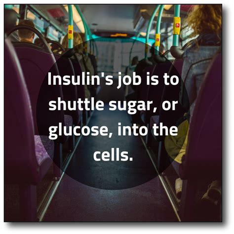 Artificial Sweeteners Increase Insulin Resistance Making It Hard To Lose Weight Dr Becky Fitness