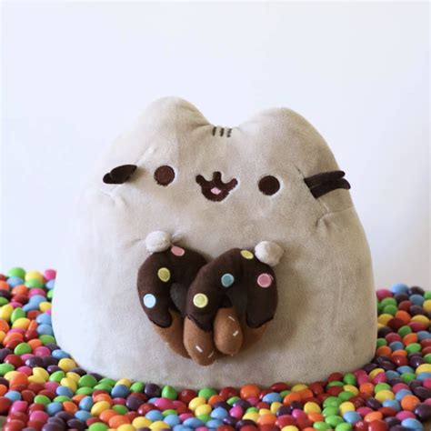 Pusheen Fan Showcase Check Out Some Picture Perfect Adventures With