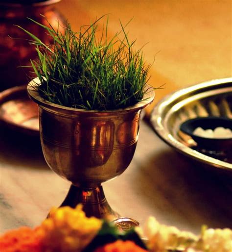Growing Doob Grass Lord Ganeshas Favourite ‘durva