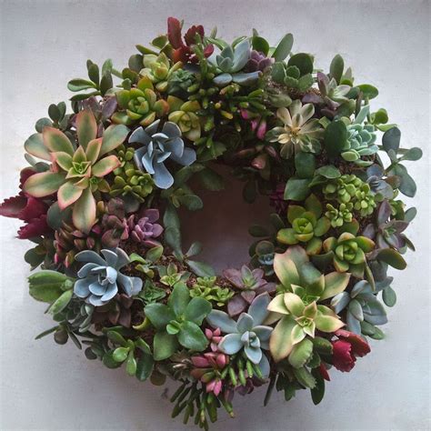 A Wreath Made Out Of Succulents On A Wall