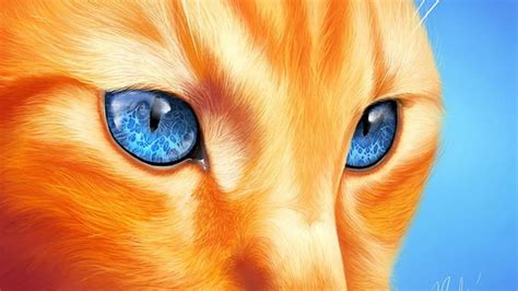Blue Eyes Fantasy Orange Tabby Cat Hd Wallpaper Peakpx