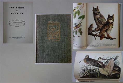 John James Audubon 1937 Birds Of America Book