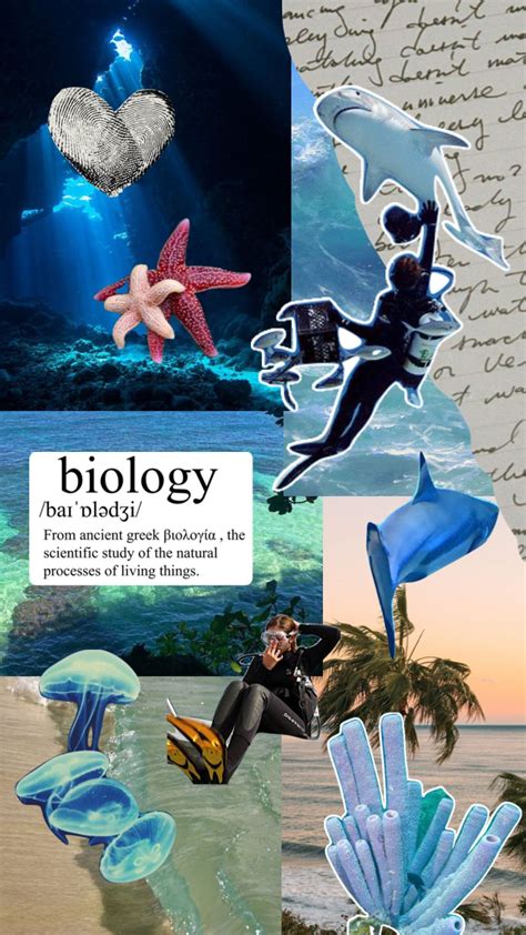 Checkout Livjorjas Shuffle Marine Biology Marinebiologist Ocean