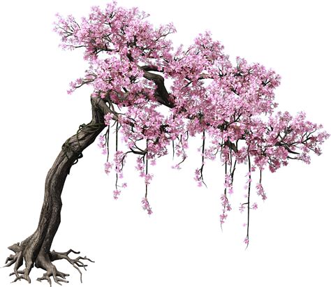 Pink cherry blossom tree, Peach Tree Color, Game scene trees, purple png image