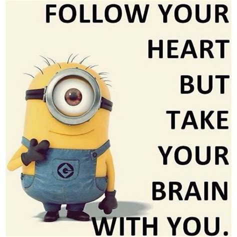 Follow Your Heart But Take Your Brain With You Pictures Photos And