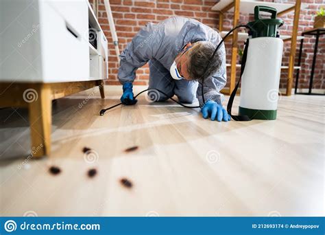 Pest Control Exterminator Services Spraying Insecticide Stock Photo
