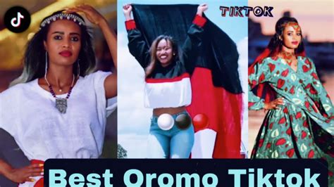 Sirba Afaan Oromoo Haaraa 2023 Oromo Music Oromotiktok Youtube