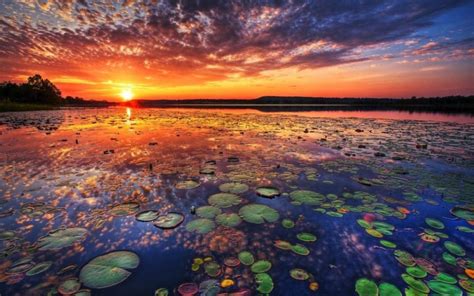 Lotus Lake Tambon Chiang Haeo Thailand Sunset Clouds Reflection Lotus