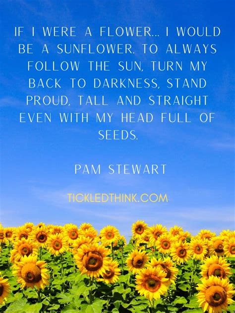60 Cute Sunflower Quotes And Sayings To Brighten Your Day Tickled Think
