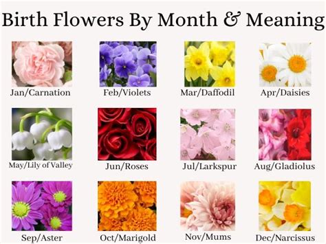 Monthly Birth Flower Chart