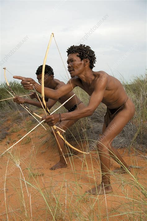 Bushmen Of The Kalahari Stock Image C0526430 Science Photo Library