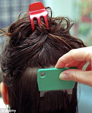 Shampoo your hair and comb the dead lice out of the wet hair. Massachusetts girl dead after home treatment for lice went ...