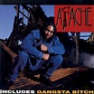 Apache – Apache Ain't Shit (1993, CD) - Discogs