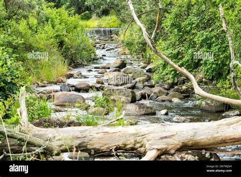 Looking Up A Small River Or Stream In An Area Of The Drakensberg South