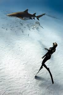 Diver Who Swims With Sharks Reveals How His Fear Makes Encounters So