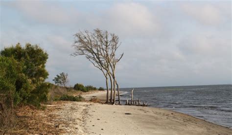 These stays are highly rated for location. Mitchelville Beach Park - Hilton Head, SC | HiltonHead.com