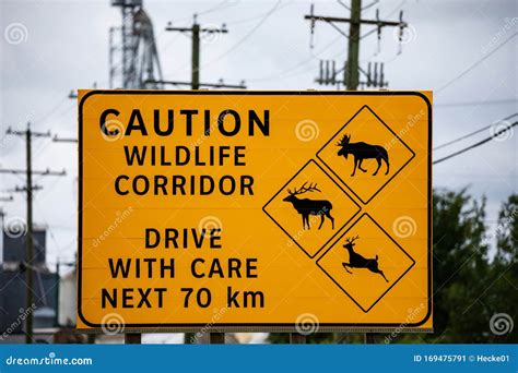 Wildlife Warning Signs