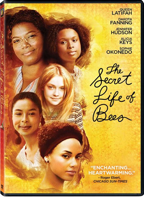 the secret life of bees dvd release date february 3 2009