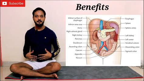 It is located in the left it is the. Make abdominal organs healthy and get rid of back pain by ...