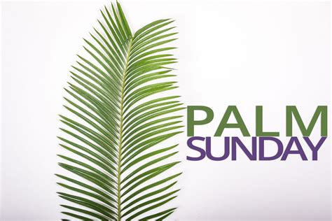 Palm Sunday St Pauls Episcopal Church Maumee Oh