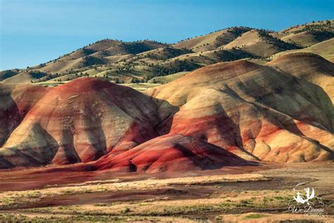 The Most Vibrant And Interesting Landscapes In The Painted Hills Unit