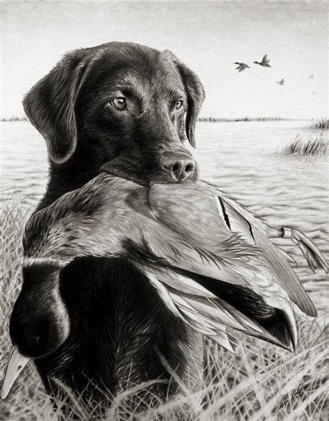 Black And White 2 Duck Hunting Tattoos Hunting Drawings Bear Hunting