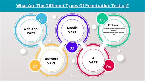 What Are The Different Types Of Penetration Testing Ecs Biztech Ltd