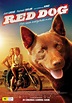 Red Dog (#1 of 3): Extra Large Movie Poster Image - IMP Awards