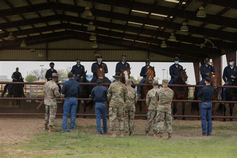 Us Army Forces Command Forscom 1st Cavalry Division