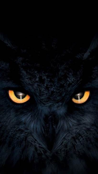 Owl Eyes Glowing Dark Iphone Muzzle Animal