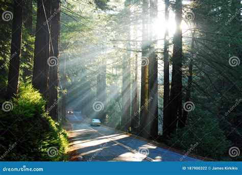 Sunbeams Illuminating The Road Below Stock Photo Image Of Cars